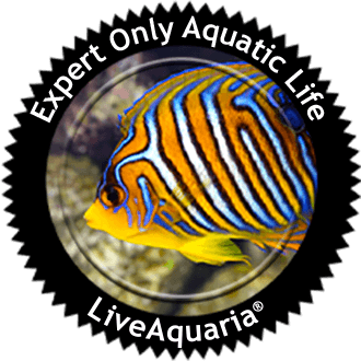 guarantee-image